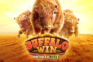 Buffalo Win