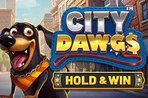 City Dawgs Hold and Win by Betsoft