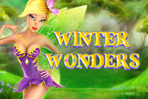 Winter Wonders