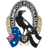 Collingwood Magpies