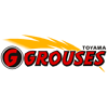Toyama Grouses