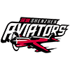 Shenzhen Leopards
