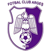 ACS Champions FC Arges