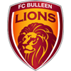 FC Bulleen Lions