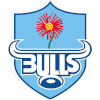 Bulls